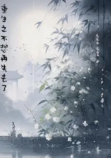 重生之不想再失去了 封面