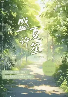 盛夏許笙 封面