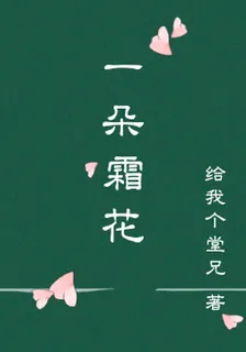 一朵霜花 封面