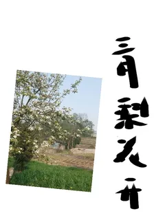 三月梨樹花開 封面