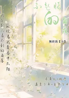 不起眼的角落 封面
