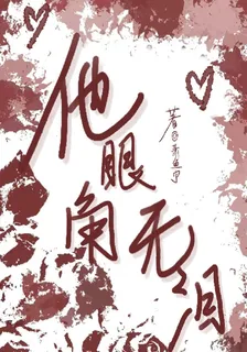 他眼角無淚 封面
