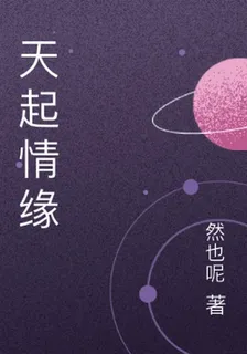 天起情緣 封面