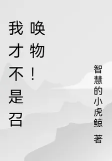 我纔不是召喚物！ 封面