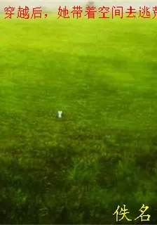 穿越後，她帶着空間去逃荒 封面