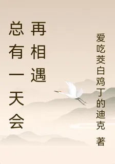 總有一天會再相遇 封面