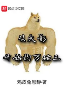 從火影開始的萬磁王 封面