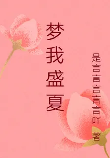 夢我盛夏 封面