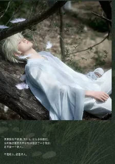 追星星的我 封面