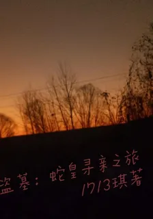 盜墓：蛇皇尋親之旅 封面