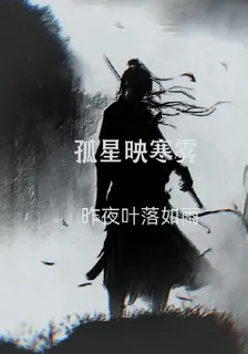 孤星映寒霧 封面