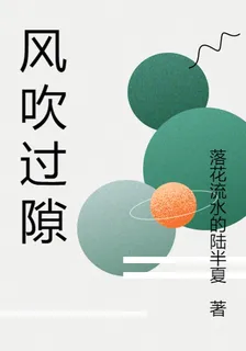 風吹過隙 封面