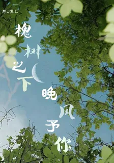 槐樹之下，晚風予你 封面