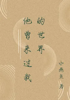 他曾來過我的世界 封面
