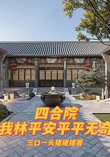 四合院：我林平安平平無奇 封面