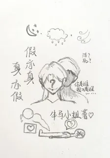 假亦真，真亦假 封面
