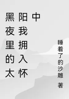 黑夜裏的太陽我擁入懷中 封面