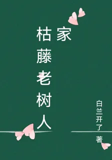 枯藤老樹人家 封面