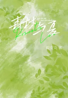 森林與夏 封面