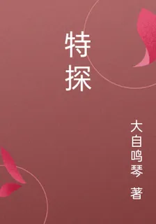 特探 封面