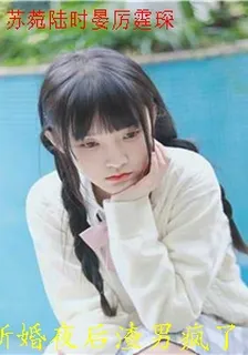 蘇菀陸時晏厲霆琛 封面