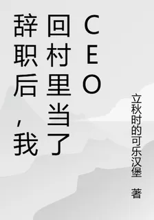 辭職後，我回村裏當了CEO 封面