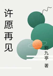 許願再見 封面
