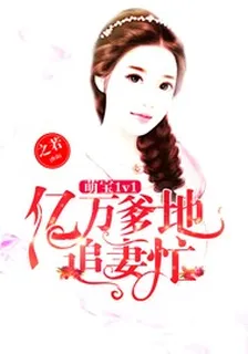 萌寶1v1：億萬爹地追妻忙 封面