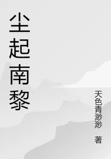 塵起南黎 封面