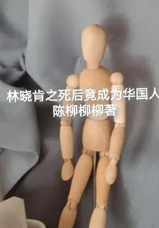 林曉肯投胎成爲了華國人 封面