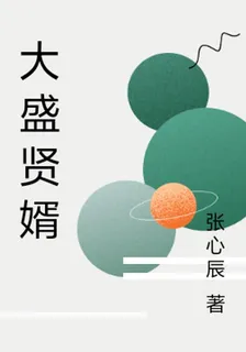 大盛賢婿 封面