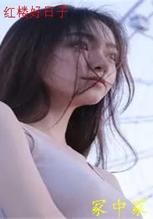 紅樓好日子 封面