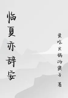 臨夏亦辭安 封面