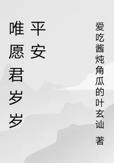唯願君歲歲平安 封面