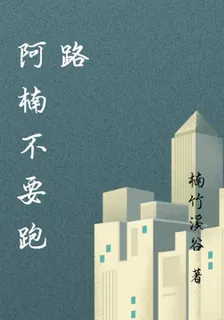 阿楠不要跑路 封面