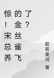 驚！宋總養的金絲雀飛了？ 封面
