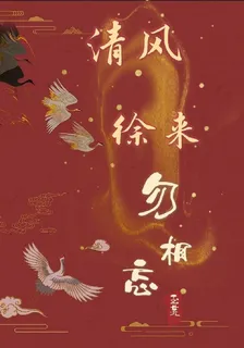清風徐來勿相忘 封面