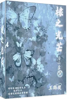 棣之光芒 封面