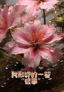 我和她的一些破事 封面