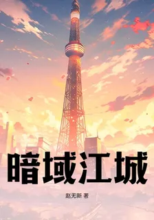 暗域江城 封面