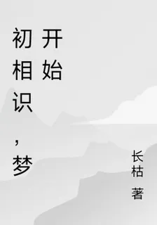初相識，夢開始 封面