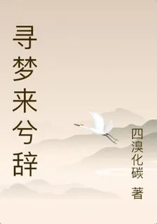 尋夢來兮辭 封面