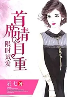 限時試愛：首席請自重 封面