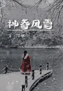 神眷風雪 封面