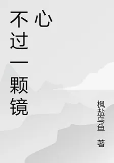 不過一顆鏡心 封面