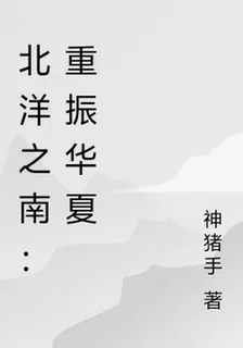 北洋之南：重振華夏 封面