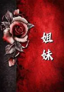 姐妹 封面