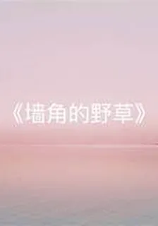 墻角的野草 封面