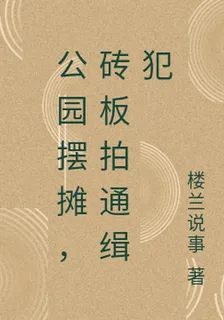 公園擺攤，磚板拍通緝犯 封面