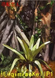 頂配戀人 封面
